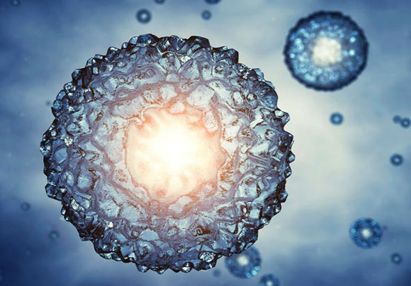 Cèl·lules mare per a tractaments regeneratius